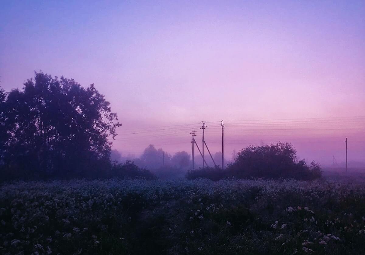 图库大全-历史回看-手册-仅供查询学习，全年历史图库记录